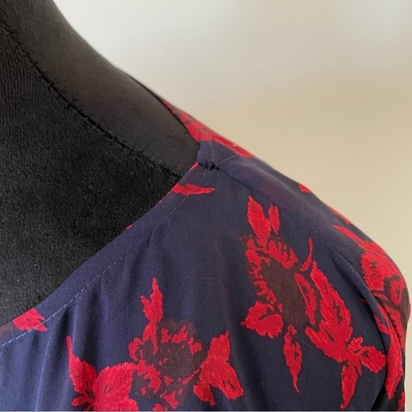 Madewell No.6 Vintage Rose Blue Red Silk Floral Printed Silk Magical Dress EUC 6